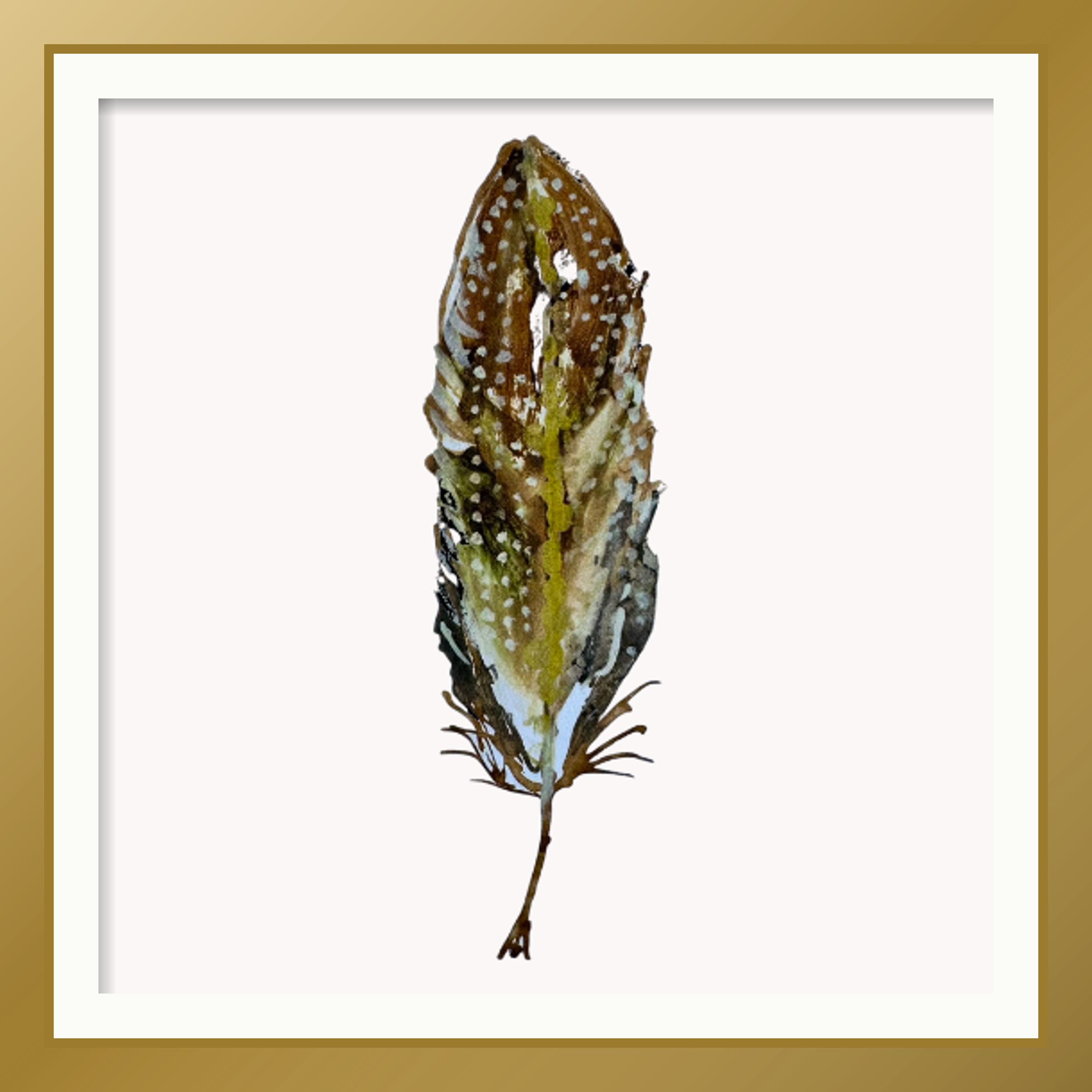 QUAIL